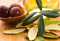 Olive Leaf Extract